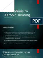 Adaptations To Aerobic Training