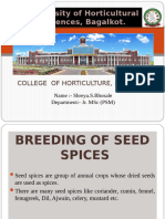 Seed Spices Breeding