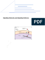 Submitted By: Arham Ahmad SAP ID: 057000 Subject: Biochemistry I Submitted To: DR Fatima Tariq Topic: Signaling Molecules and Gap Junctions