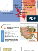 Apendicitis Pato QX 191001020958