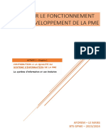 Act 1 Chapitre 1 Système D'information PDF