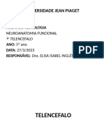 Neuroanatomia Telencefalo2023