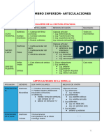 Articulaciones MM - II