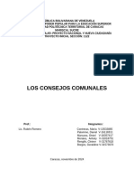 Informe Sobre Los Consejos Comunales