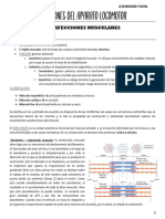 Practicas Hospitalarias