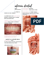 Aula 1 - Caracteristicas Gerais