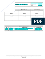 Estructura de Procedimiento de Operativo - PETS