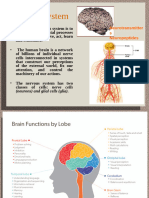 Unit 4 Neurobiology