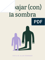 Trabajar Con La Sombra 2