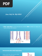 Dna Replication