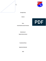 Informe de Geologia Fisica