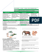 Actividad 4TO 26.docx Comparamos La Reprod Sexual y Aseual en Animales