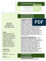 Modelo de CV