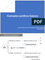 RESP 2024. Coceptos Jurídicos Básicos