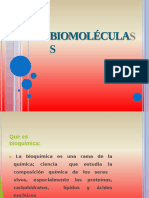 Biomoleculas 2023