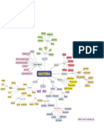 Bacteria Biology Mindmap Biological Classification