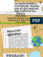 Cultivando Sostenibilidad y Conciencia Ambiental: Huertos Comunitarios en Dos Regiones Del Sur Baja California Sur, México