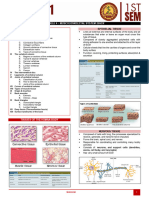 Trans Module4