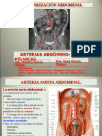 Arterias Abdominales