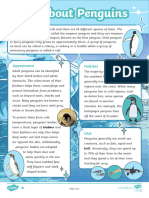 UKS2 All About Penguins Differentiated Reading Comprehension