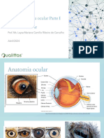 Ultrassonografia Ocular - Aula 1