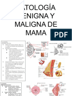 Mama - Benigno y Maligno