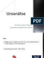 Aula 3 - Uroanálise e Urocultura-1 - 113748