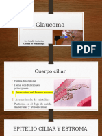 Glaucoma Anatomia