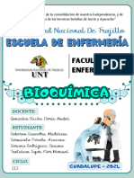 Dengue Informe Bioquimica