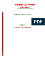 Systeme Encrocrinien