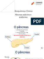 Pancreas Endócrino e Exócrino