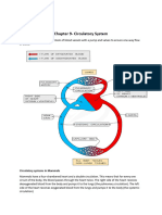 Biology ch.9 Notes