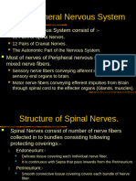 PNS Lecture-1