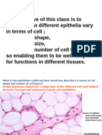 Epithelium