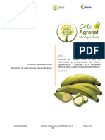 32 Act Protocolo Cadena Platano V 5 0 - 11 Dic