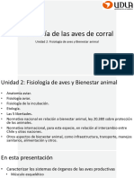 Anatomia Aves de Corral