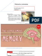 II-10 Memoria y Amnesias OBJ 2 y OBJ 3