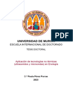 Pérez-Porras-Paula TD Sin Artículos 2023