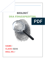 Dna Fingerprinting Bio Project