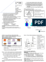 INTEGRATION 2 Des 1ere C Et Ti