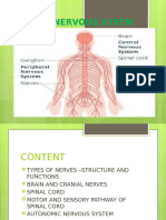 Unit 11 Nervous System