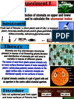 Biology Practical 7