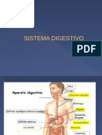 Digestivo Final