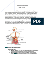 Digestive System