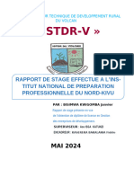 Rapport de Stage Complet