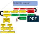 Diagrama Bovino