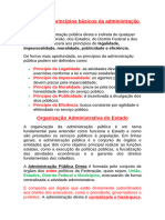 Conceitos e Princípios Básicos Da Administração Pública