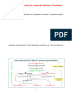 Biochimie Métabolique CHAP 4 METABOLISME DES PP S4 2021-2022doc