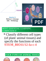 Lesson 1 Animal Tissues Epithelial Tissues