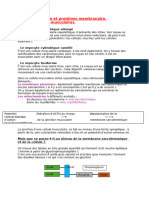 I) Membrane Et Protéines Membranaire. A) Les Cellules Musculaires